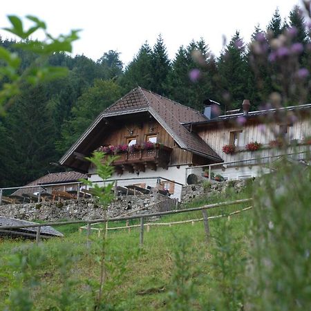 Ferienwohnung Hochsteinalm Traunkirchen Esterno foto