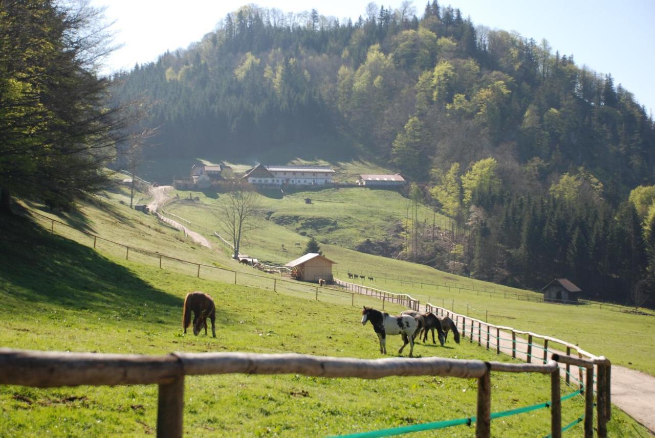 Ferienwohnung Hochsteinalm Traunkirchen Esterno foto